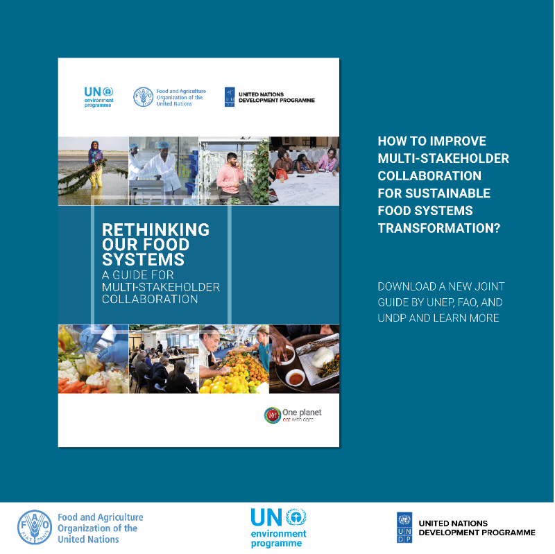 UN Environment Programme tweet media