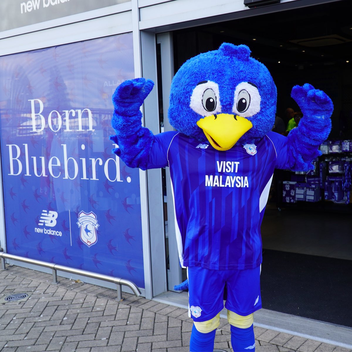 Cardiff City Football Club - Defeat for the #Bluebirds at CCS