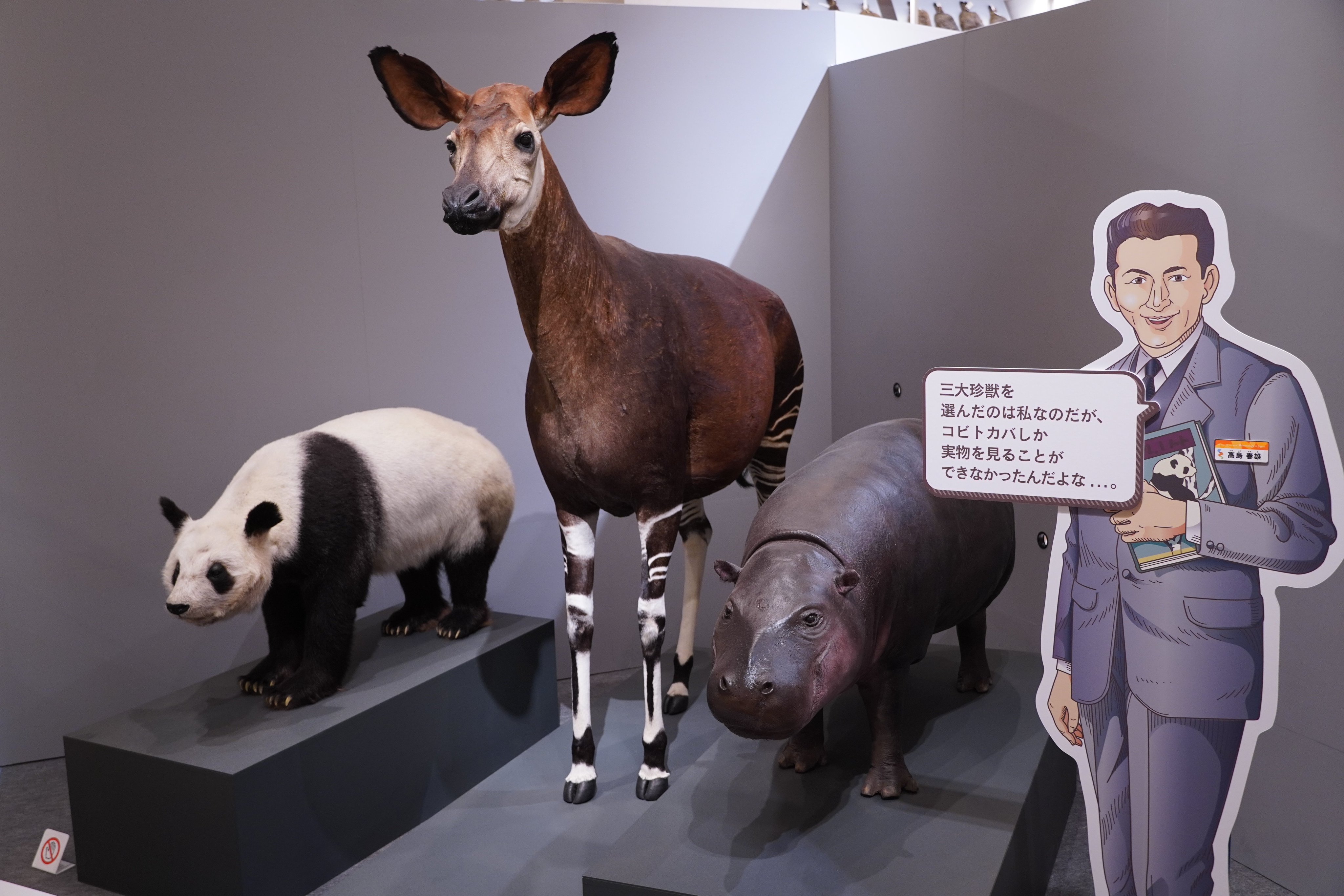 かはく【国立科学博物館公式】 على X: 