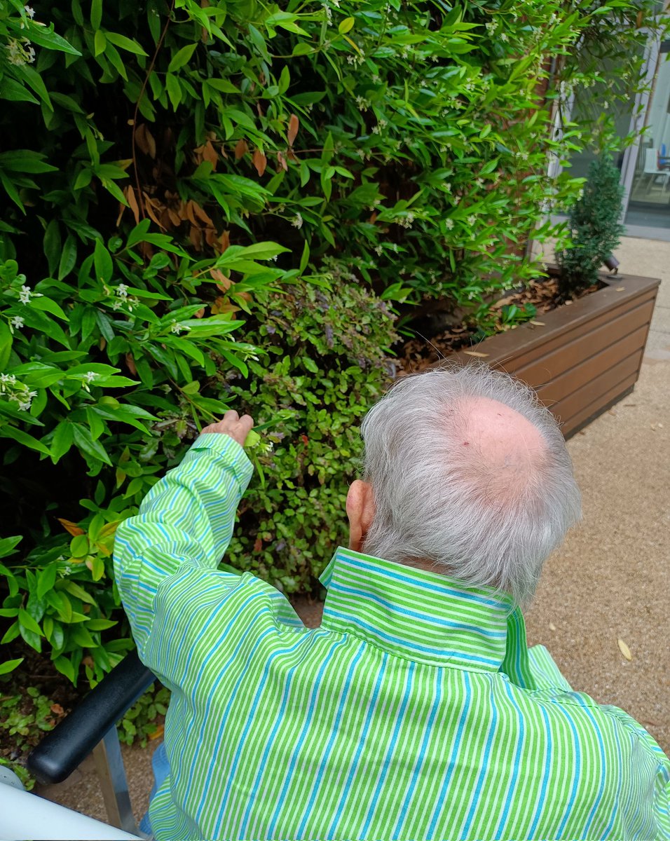 Ward_L3's tweet photo. We will deadhead the old flowers
Whether the weather like it or not!
#DementiaGarden #gardening #deadheading @NCAlliance_NHS @NcaPef @SalfordCO_NHS @ExpTeamNCA https://t.co/RODQyPuuIv