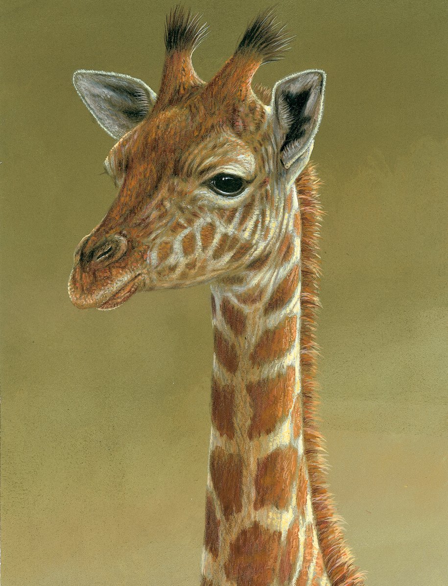 Happy World Giraffe Day 🦒
Hope you like this detail from a portrait I painted 🎨🖌
See it in full 👉robertefuller.com/product/giraff…

#worldgiraffeday #giraffe #robertefuller