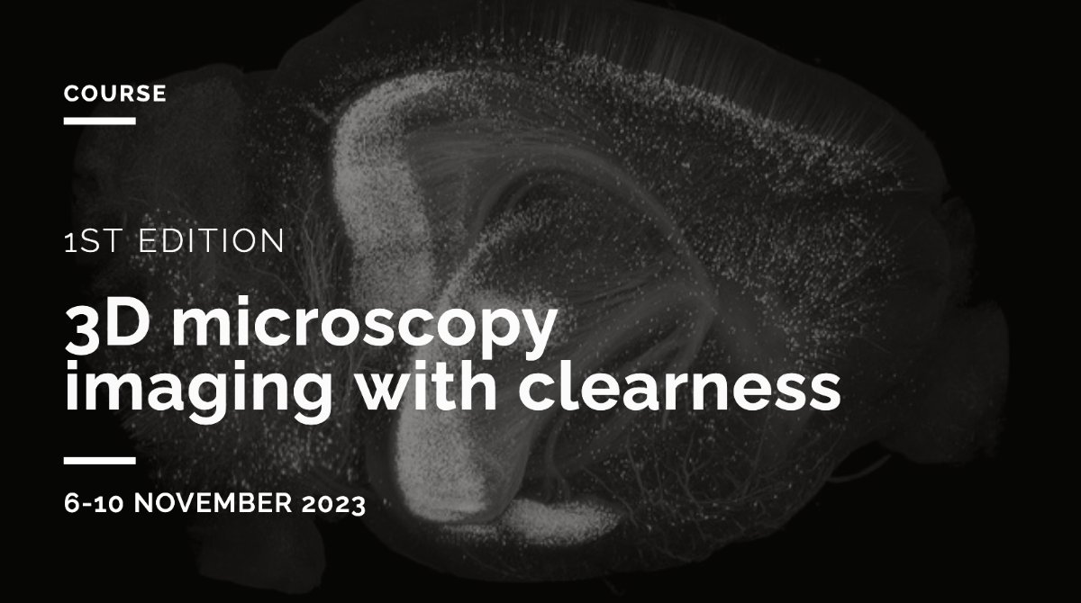 i3S_UPorto's tweet photo. This workshop offers an in-depth presentation of the different clearing methods available, combined with hands-on sessions using LSFM & confocal #microscopy.
🎯PhD students, early career researchers
Early bird⏰1Jul
➕https://t.co/joBGfX1cWP
#i3Straining #i3Sworkshops #bioimaging https://t.co/TFeSL70nU8