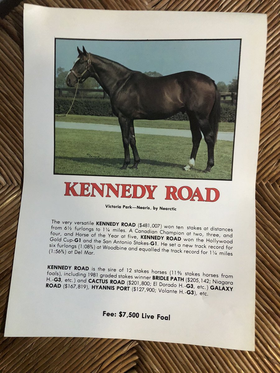 JackpotNick's tweet photo. Had to be #Windfields w/ that pedigree.  Kennedy Road was in Louisiana in latter years, known for simply speed https://t.co/d1h5eXlIzt