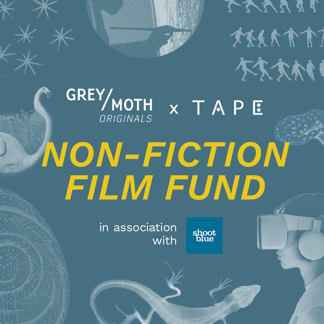 Grey Moth tweet media