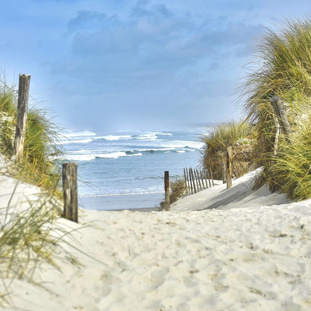 ⛱️☀️😎 SUMMER IS COMING !!
#Vacances @lepoulpiquetquiberon @VilledeQuiberon #poulpiquet #quiberontourisme #chambresdhotes #gite #vacancesenfamille #summervibes #summer #summerhouse #vacances2023 #bretagne #bretagnetourisme #destinationbretagne #jaimelafrance #quiberon #breizh