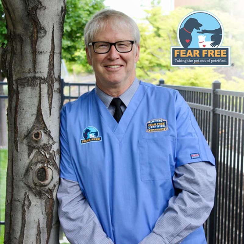 THE VET CLINIC SHOULD BE FEAR-FREE ➡️ link.chtbl.com/fearfree

Dr. Marty Becker spent years consulting with veterinary behaviorists to come up with the guidelines for vets, vet-techs and vet assistants to get certified in his Fear Free program.