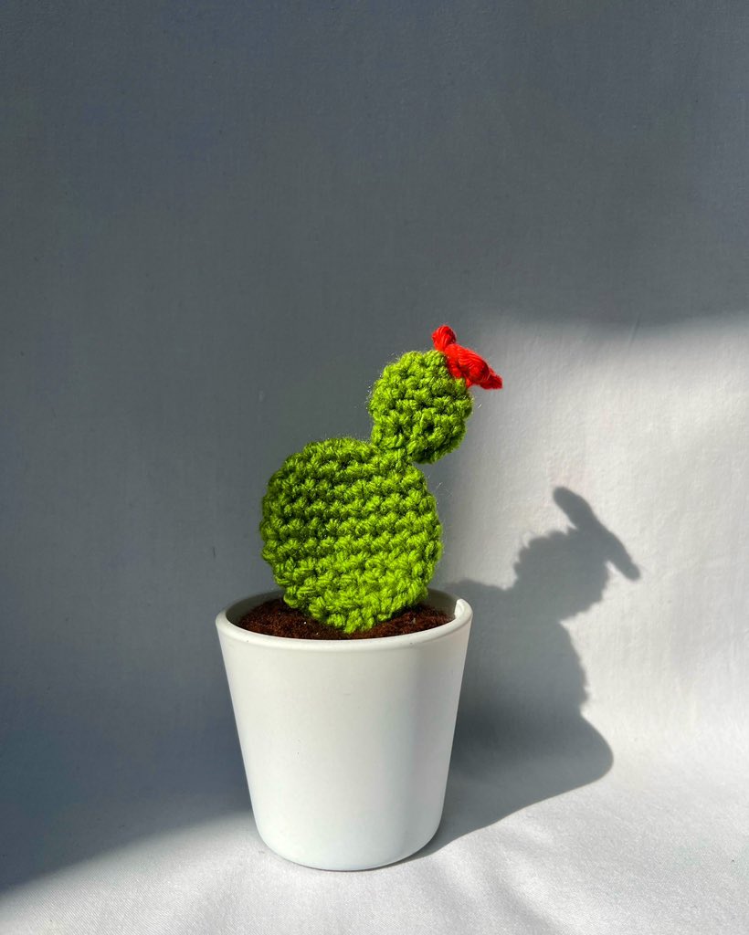The cutest cactus I ever did see 🌵✨ 

#crochet #crochetlover #crochetuk #crochetaddict #handmade #cactus