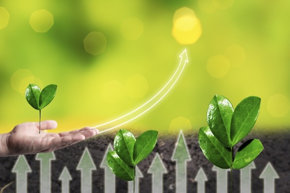 Hatil sets new eco-friendly benchmark in Bangladesh furniture industry. Read more: woodzon.com/hatil-sets-new…

#furnituremanufacturer #Furnitureindustry #furnituremaker #furnituredesign #furnituremakeover #furniture