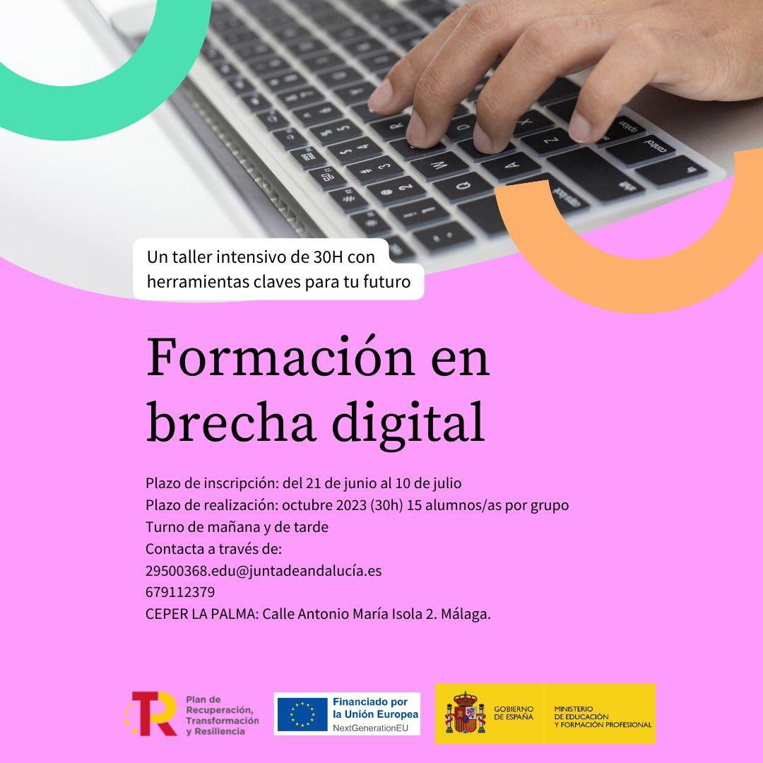 Rocío Pascual tweet media