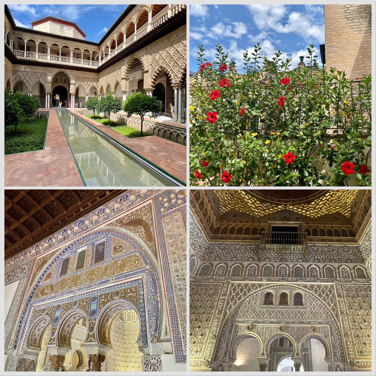 Real Alcázar de #Sevilla