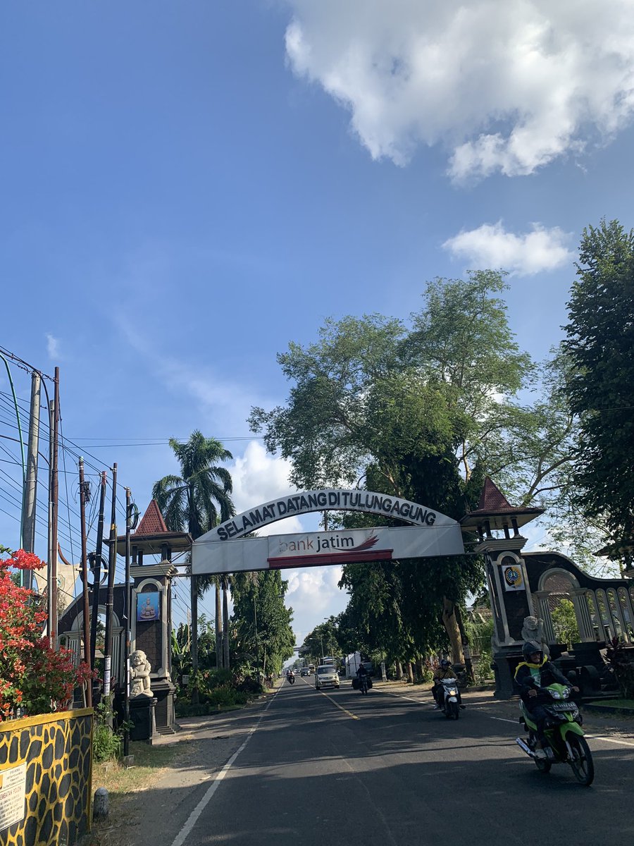 nyott23 tweet media