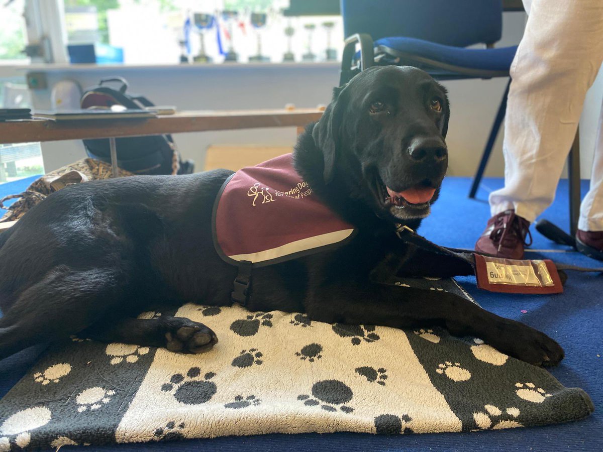 This morning we welcomed Christine and Jessie from ‘Hearing Dogs for Deaf People’ to talk to us about the wonderful work they do for the deaf community! #BPSNurture #BPSEngage @HearingDogs #hearingdogsfordeafpeople #hearingdogs