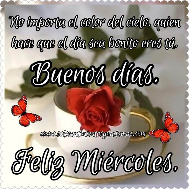 Muy buenos días feliz miércoles