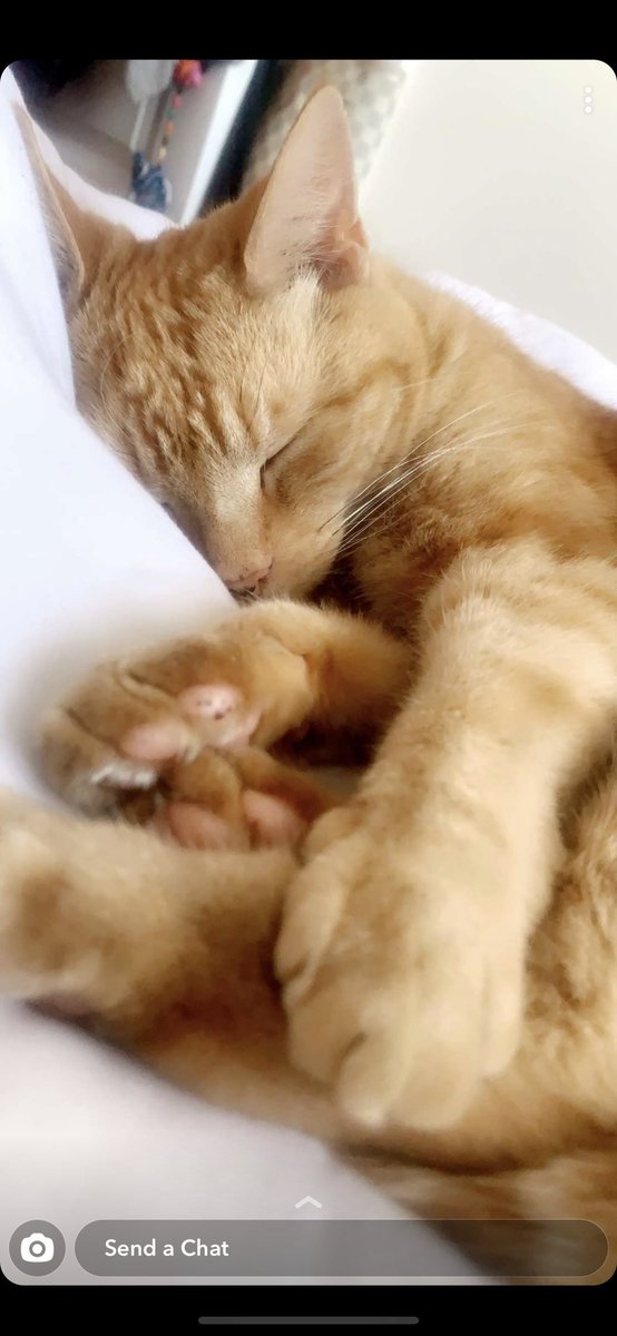 Justice for Jam tweet media