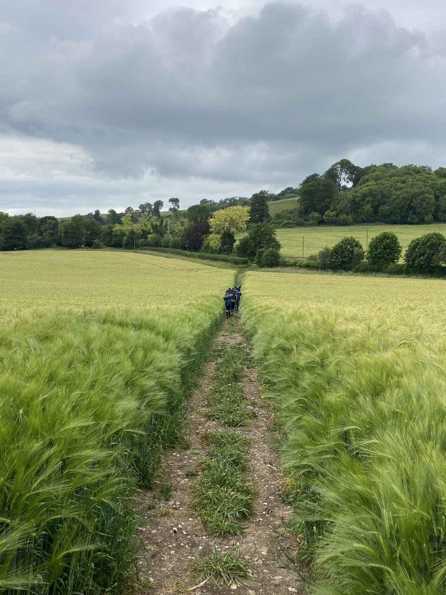 Ryan Carbonero (@mrcarbspe) on Twitter photo <a href="/ChallneyBoys/">Challney Boys</a> students experiencing the beautiful #ChilternHills during their practice <a href="/DofE/">The Duke of Edinburgh’s Award</a> expedition <a href="/TNugloze/">Tina Nuglozé</a> <a href="/smitchelmore_/">Mr Mitchelmore</a> <a href="/ShafiTeachesit/">Mr Shafi Teach</a> ☀️⛰️ <a href="/ChallneyBoys/">Challney Boys</a> students experiencing the beautiful #ChilternHills during their practice <a href="/DofE/">The Duke of Edinburgh’s Award</a> expedition <a href="/TNugloze/">Tina Nuglozé</a> <a href="/smitchelmore_/">Mr Mitchelmore</a> <a href="/ShafiTeachesit/">Mr Shafi Teach</a> ☀️⛰️