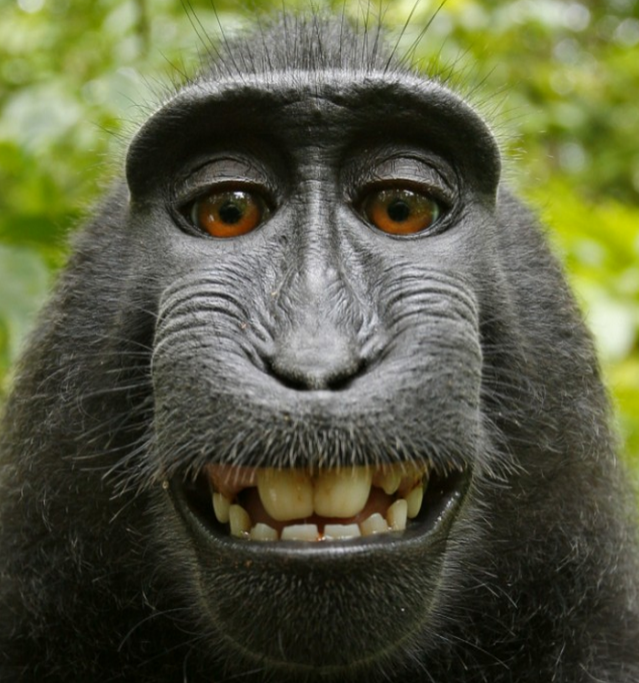 Because of the lawsuit between a photographer and PETA over a monkey that took a photo of himself with the camera.. It's the only precedent that says art has to be created by a human to be copyrighted. Otherwise its public domain.

Do what you want with that information.