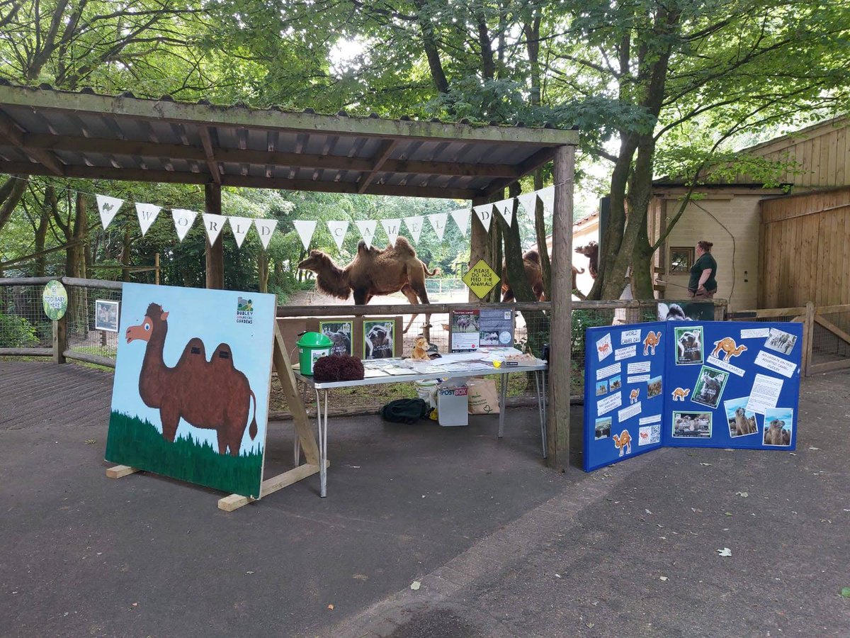 Thank You to everyone who supported our #WorldCamelDay fundraising efforts in aid of @wildcamels. We raised £575.45!