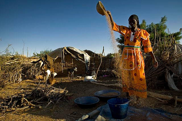 AggiesGO1's tweet photo. Check out Jonah Carlson's new article!  
 - As conflict in Sudan displaces citizens in West Darfur, Chad is forced to confront a growing humanitarian crisis.

Click here to read more: https://t.co/EljI98Gmp6 https://t.co/gxAwtZJlKn
