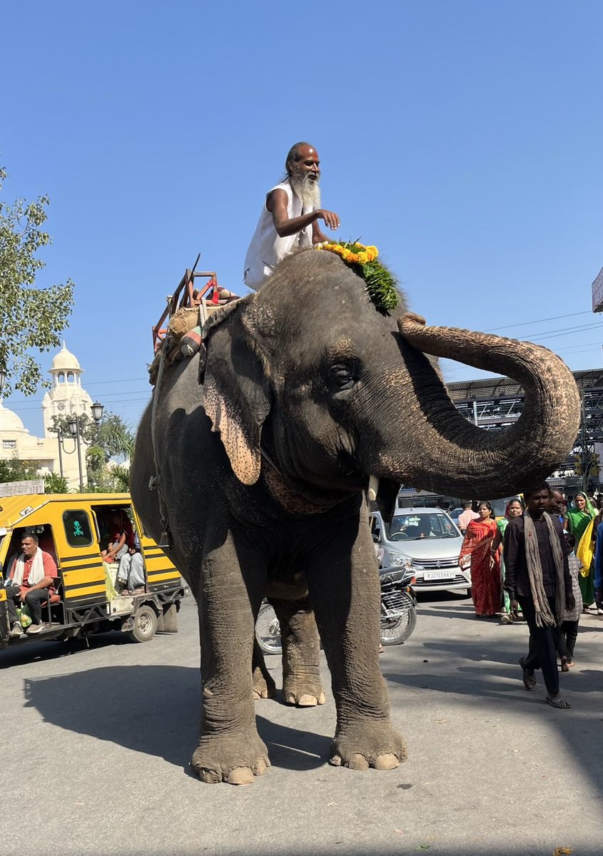 People of Udaipur.✨

(1/n)