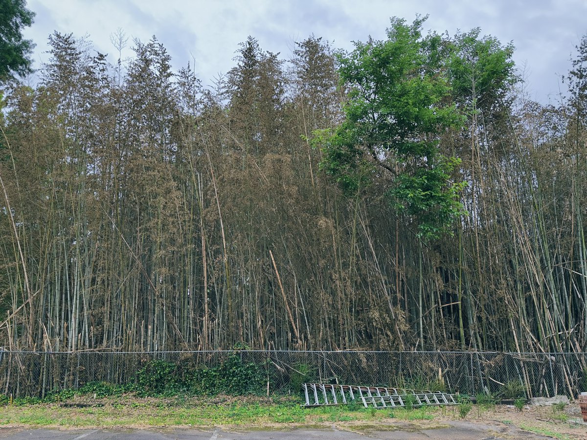 Election results!, new development, and potato salad - mailchi.mp/gmrva/good-mor…