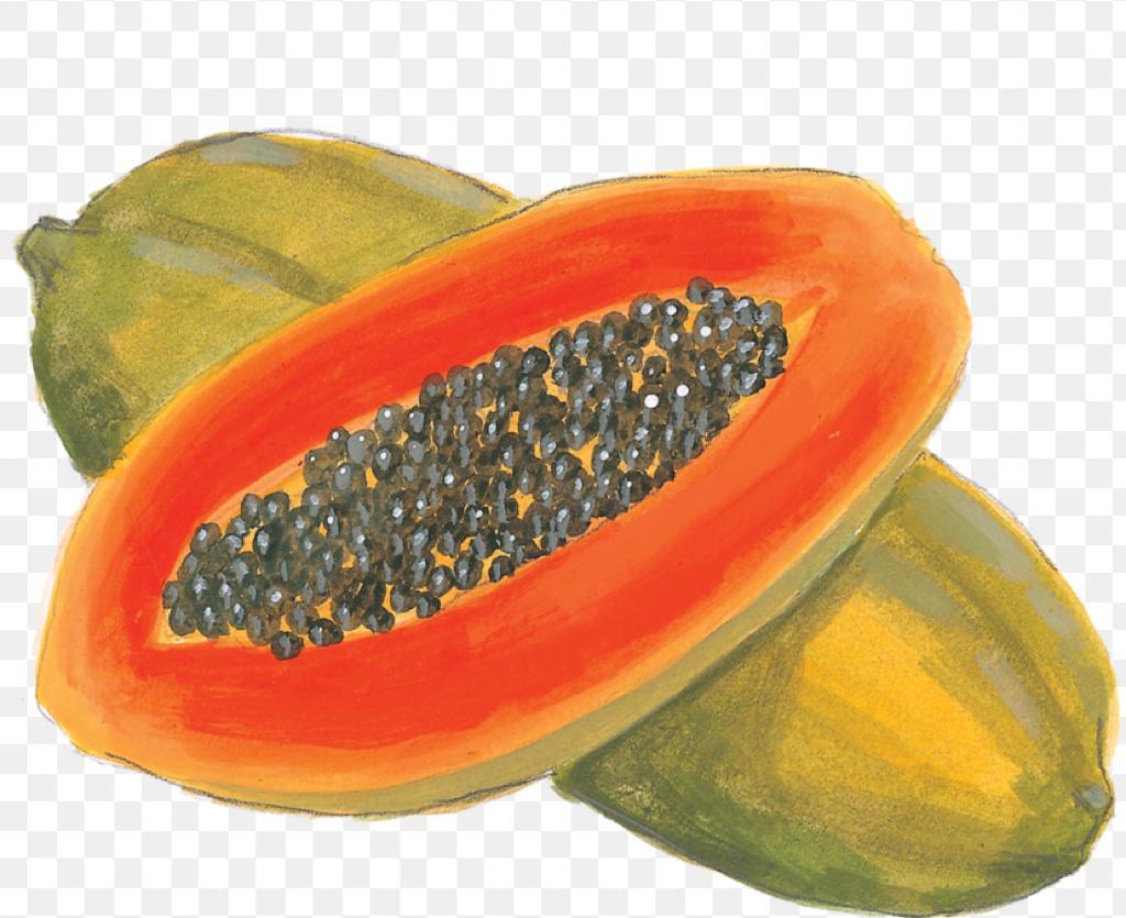 VICTORSILVES63's tweet photo. PAPAYA ( LECHOSA ): es el desayuno ideal. Como tener una farmacia en casa 🏡. Muy amiga de tu estómago.
También de tú piel, ya que combate acné, eccemas y furunculosis.
Su piel combate parásitos intestinales.
En CUBA elaboran farmacos con el árbol de esta fruta contra el vitíligo https://t.co/DIoCyLpHH0