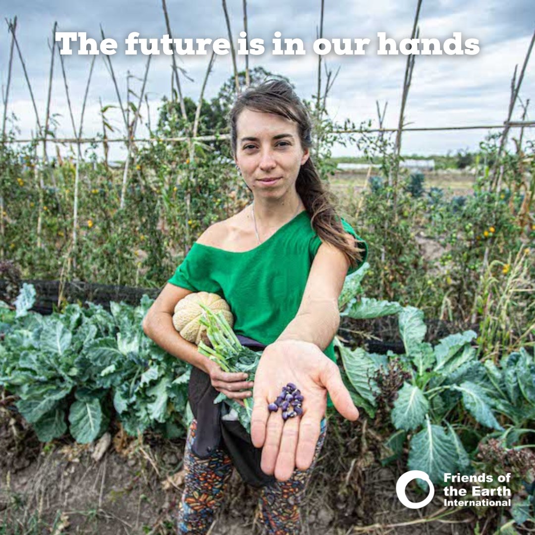 FoEint's tweet photo. We must make sure everyone can put healthy food on the table, has clean energy and water, and receives care when they need it. This means #SystemChange - find out more in our #PathwaystoSystemChange report: https://t.co/9G0OiDR0Qr https://t.co/GSaqRrAgYA