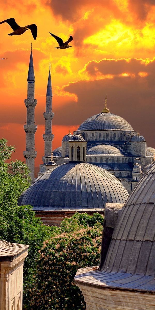 DeenSnapshots's tweet photo. 📍 Sultan Ahmet Mosque, Istanbul 📍

Istanbul's Sultan Ahmet Mosque has never been called by the Turks as “The Blue Mosque” but it is known as The Blue Mosque by many tourists because of the blue tiles that adorns the interior and gives the mosque its unofficial name. https://t.co/XMY3l6lTXx