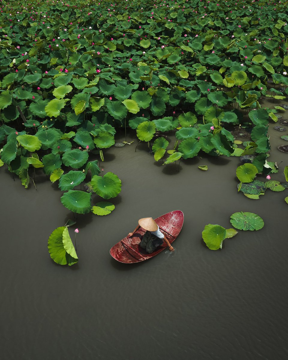 Jord Hammond tweet media