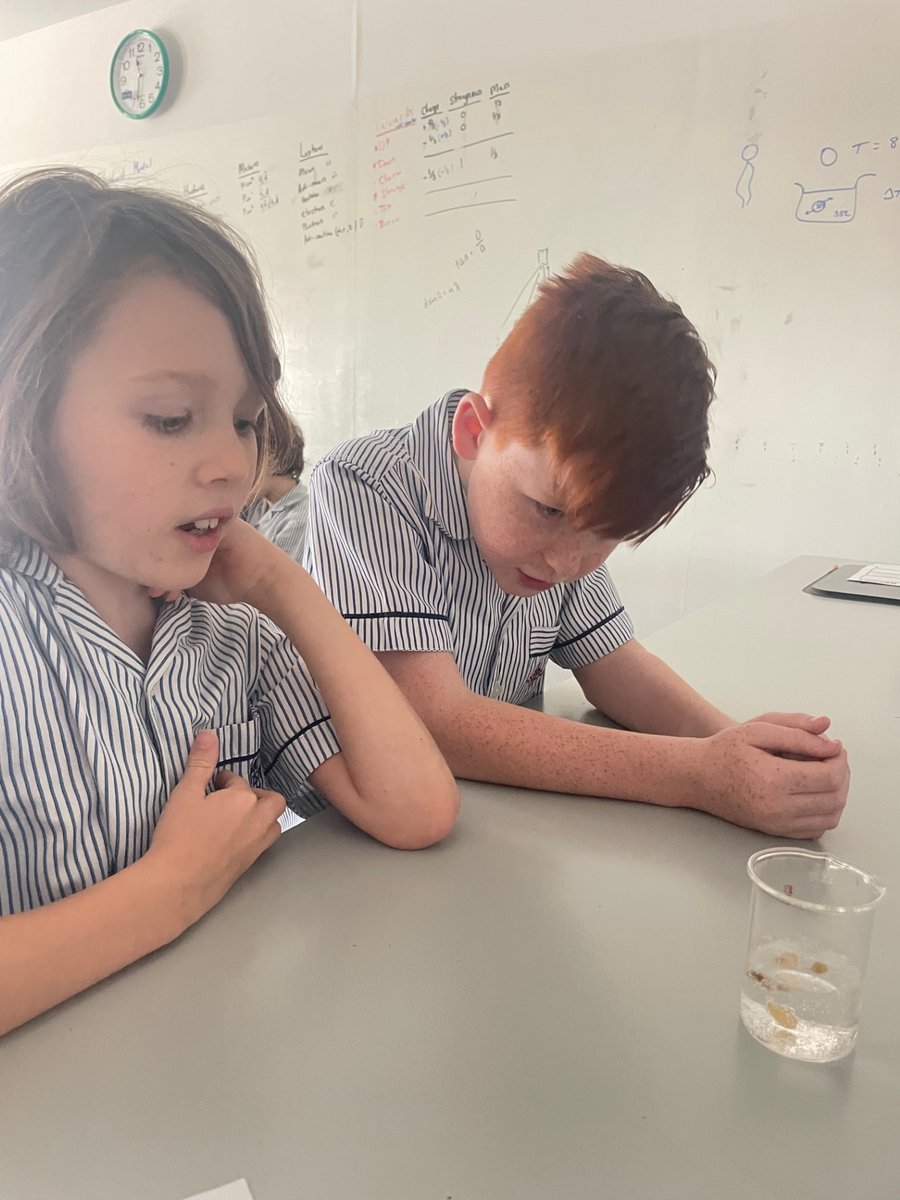 We loved demonstrating our Working Scientifically Skills today whilst completing a practical investigation with Mr Richardson! It resulted in raisins dancing in a fizzy drink! We used some great scientific vocabulary! 🥼#BeginsAtDBSEH <a href="/DBS_PriScience/">Primary Science | Dubai British School</a>