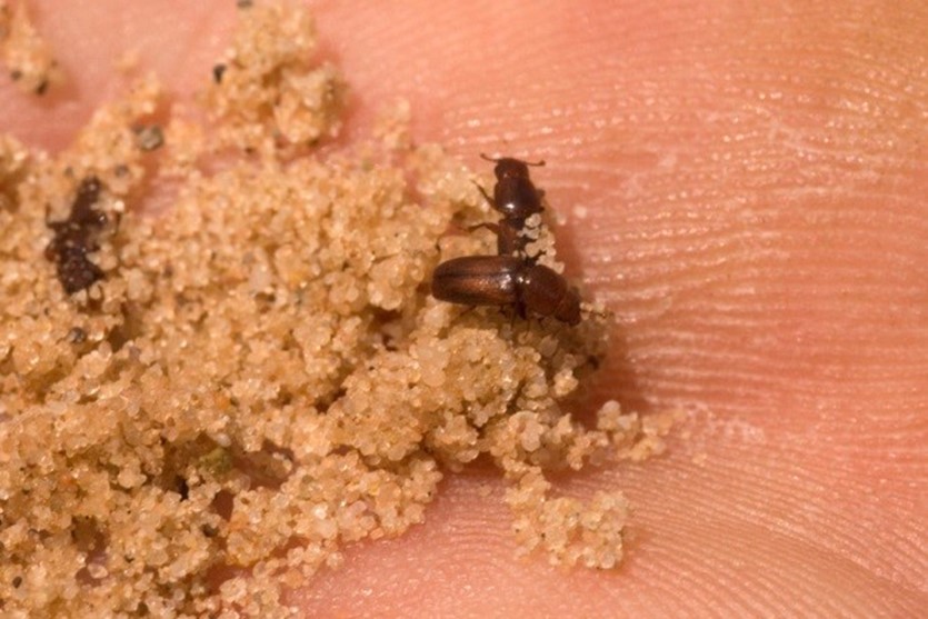 Forest Research tweet media