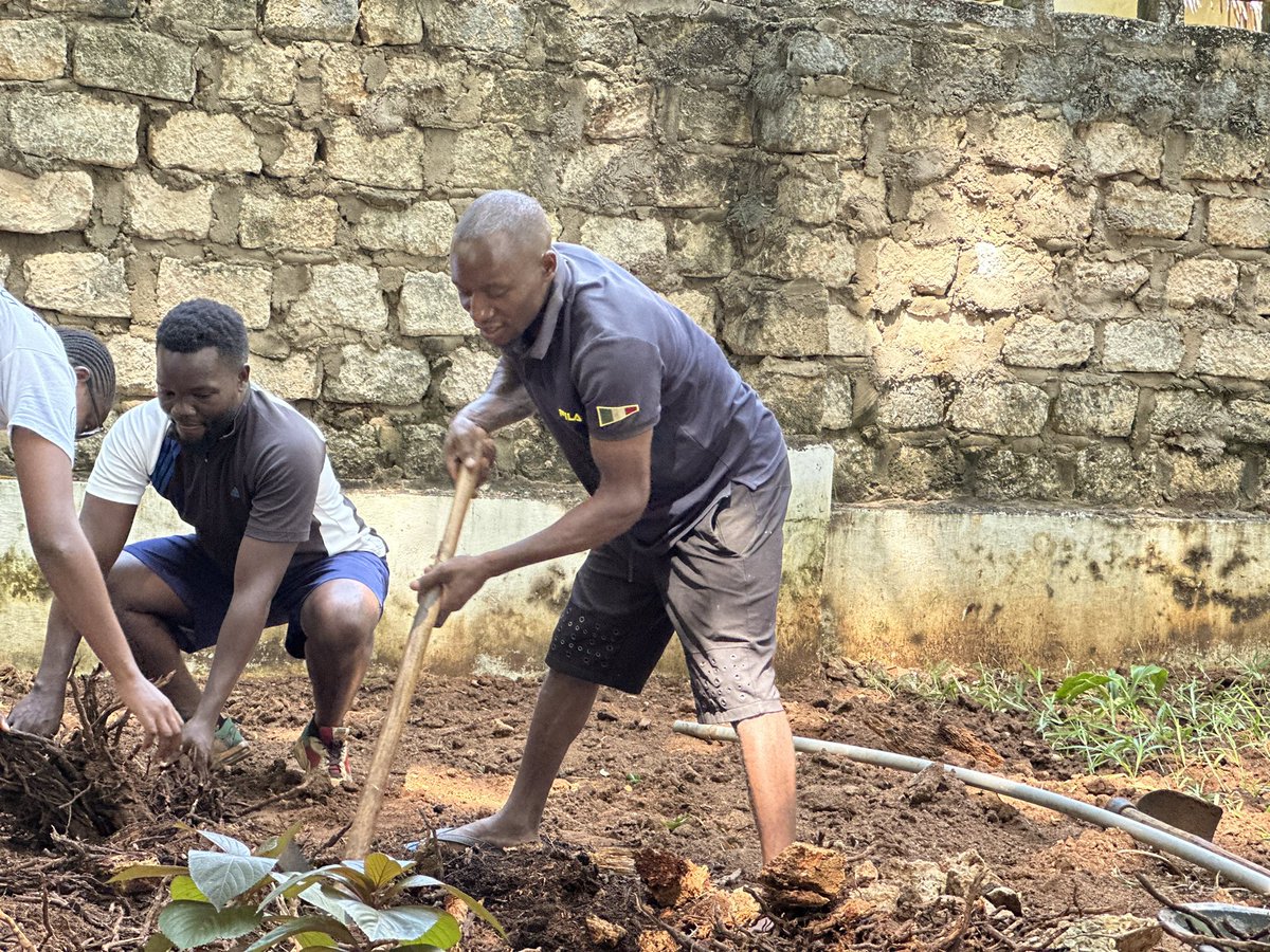 Thank you <a href="/BeLitKe/">Lit Initiative</a> @000000trees4klf <a href="/greenhalo_world/">THE GREEN HALO INITIATIVE</a> for beautifying the space. 👏🏾