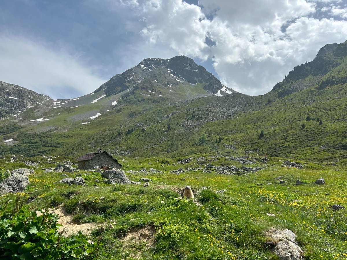 Angle Droit tweet media