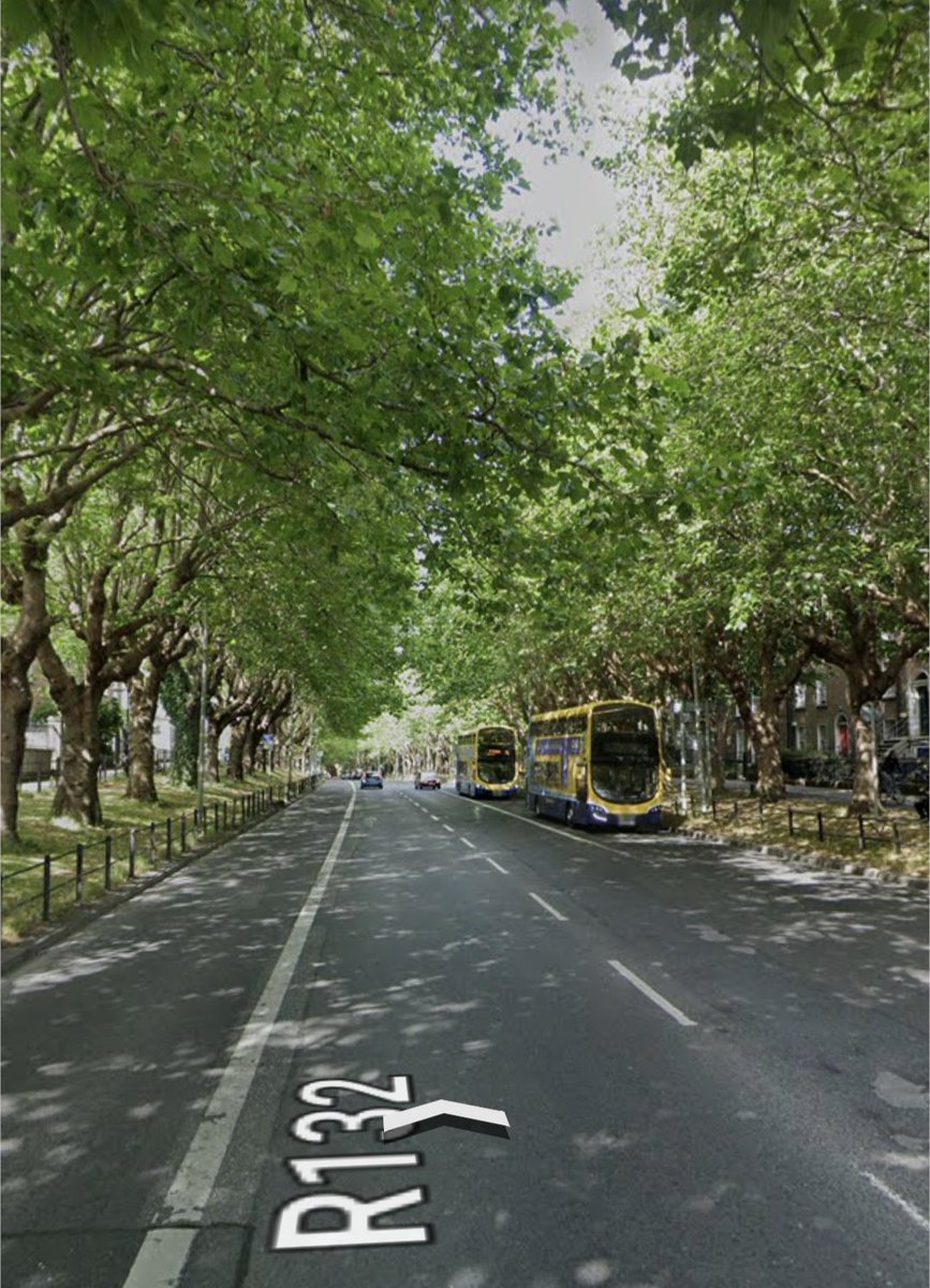 One question that keeps coming up is about the lovely trees on Drumcondra Road. These trees are NOT being removed for BusConnects.