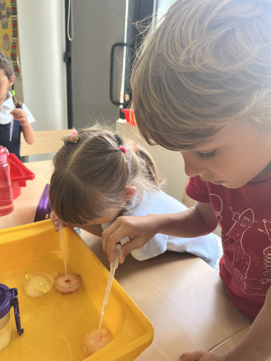 STEM week. Today we we are learning about the states of water. We used pipettes, water, salt and sugar to try and melt the solid ice and rescue our sea creatures 🧊🐠🐬🐙