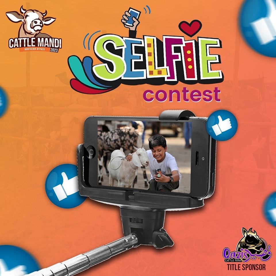 Share selfies with your favourite sacrificial animal with us with #GaenDilLeGai
The best one will be posted on Cattle Mandi's official page. Good luck to all Mandi Lovers!
.
.
#GaenDilLeGai #cattlemandi2023 #selfiecontest #cowlover #challenge #qaziscattle #EidUlAdha2023