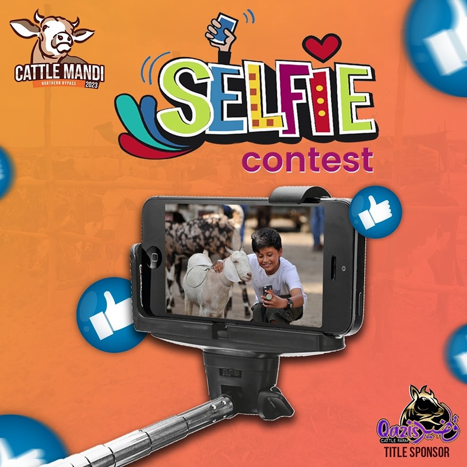 cattlemandi2023's tweet photo. Share selfies with your favourite sacrificial animal with us with #GaenDilLeGai
The best one will be posted on Cattle Mandi's official page. Good luck to all Mandi Lovers!
.
.
#GaenDilLeGai #cattlemandi2023 #selfiecontest #cowlover #challenge #qaziscattle #EidUlAdha2023 https://t.co/I6VewcvMd2