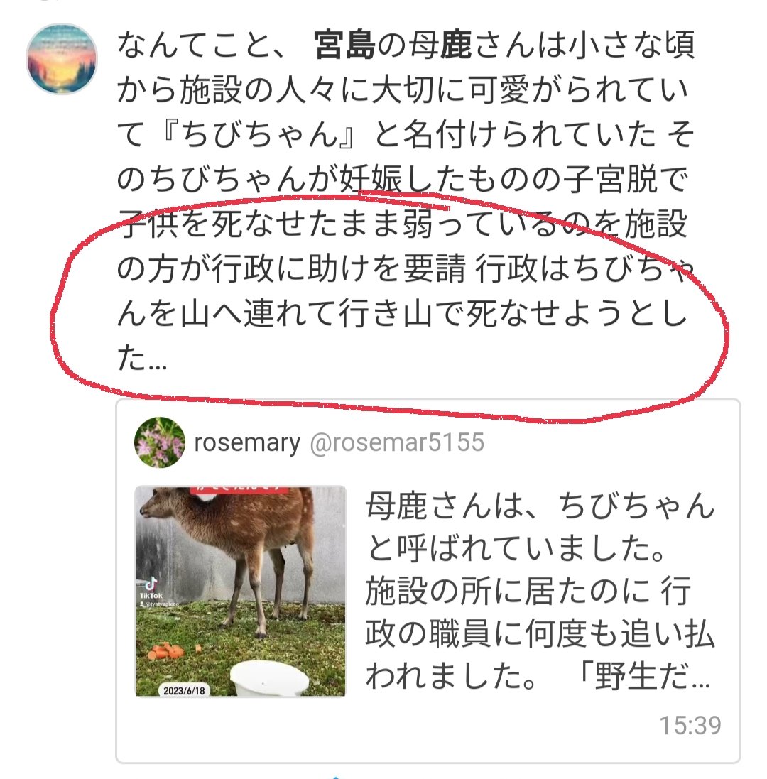 悪質なデマに要注意

宮島の母鹿を行政が山につれていって死なそうとしたと悪質なデマを宮島に一度も来たことの無い人達が流してます。
こういう悪質なデマは、流した人はもちろん拡散人も処罰になります。
もし拡散をしてる人がいたら教えてあげて下さい。
#宮島の鹿 
kanazawa.vbest.jp/columns/crimin…