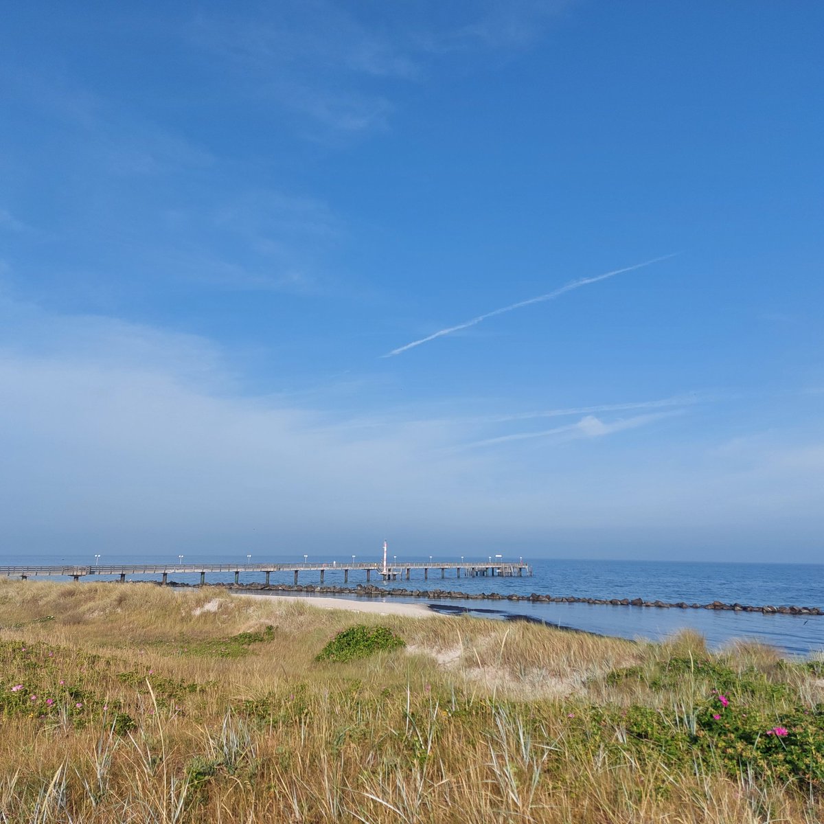 FreddyChiller's tweet photo. Schöne Grüße aus dem Urlaub von der Ostsee (Wustrow Fischland) https://t.co/UDhU8A4IvD