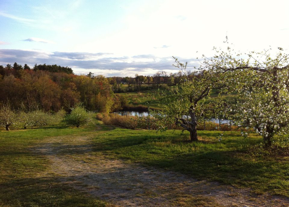 FreedomsWayNHA's tweet photo. Explore #LancasterMA
https://t.co/zLBHmXUZbC

#FreedomsWayNHA #VisitMA #MyLocalMA https://t.co/bTuosnIt7t
