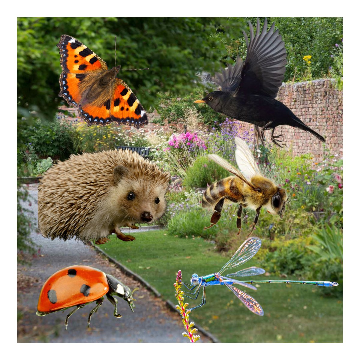 😀 The Summer Holidays are nearly here.
Looking for something fun and educational for the children to do?
Take a family trip to Portumna Castle &amp; Gardens.
♟️Giant outdoor Chess set
🌿Willow Maze
🐿️ Biodiversity Quiz
🐕Hear of Fury the hero dog
<a href="/opwireland/">Office of Public Works</a>
<a href="/HeritageIreOPW/">Heritage Ireland</a>