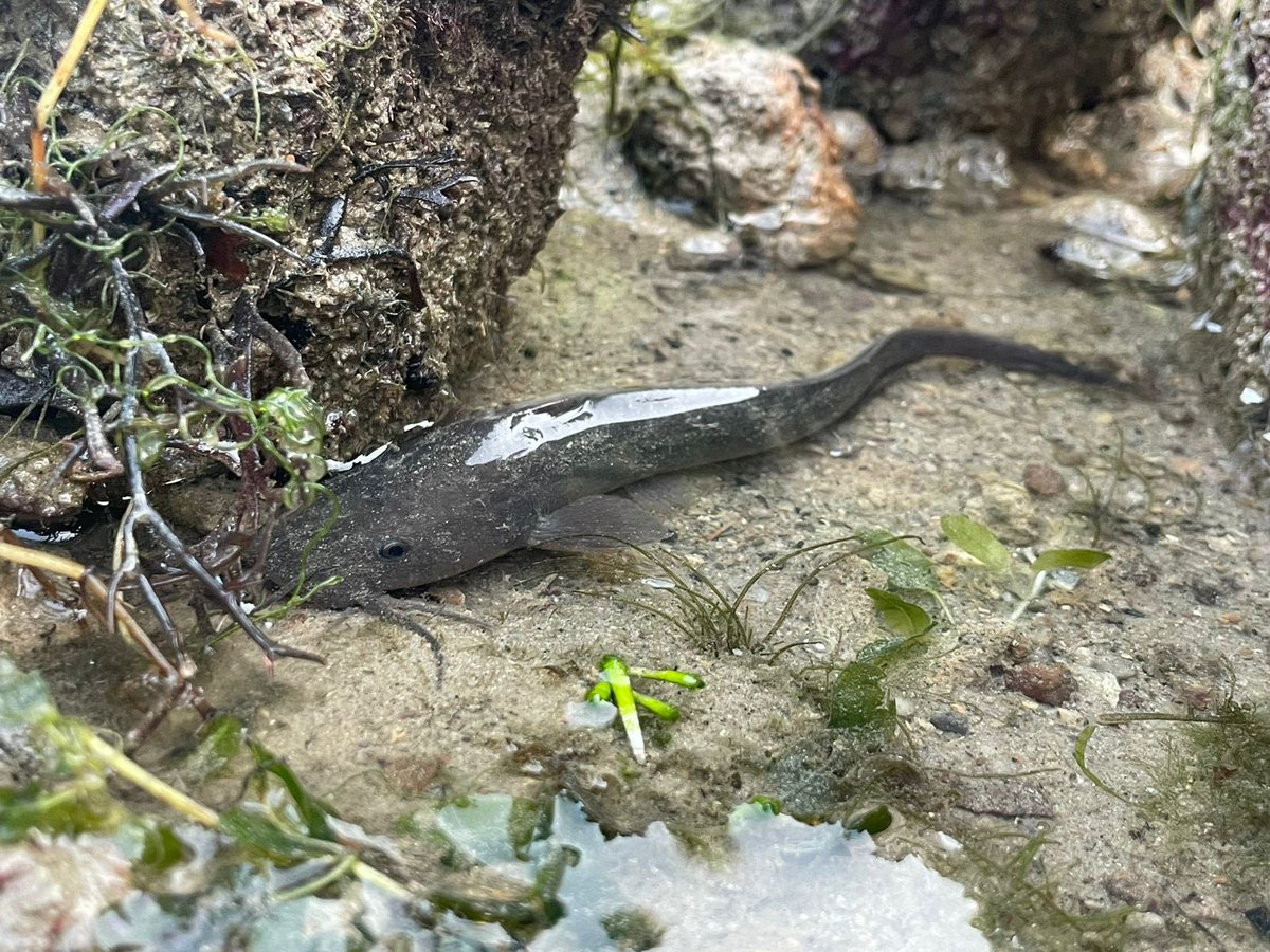 EB Richardson tweet media