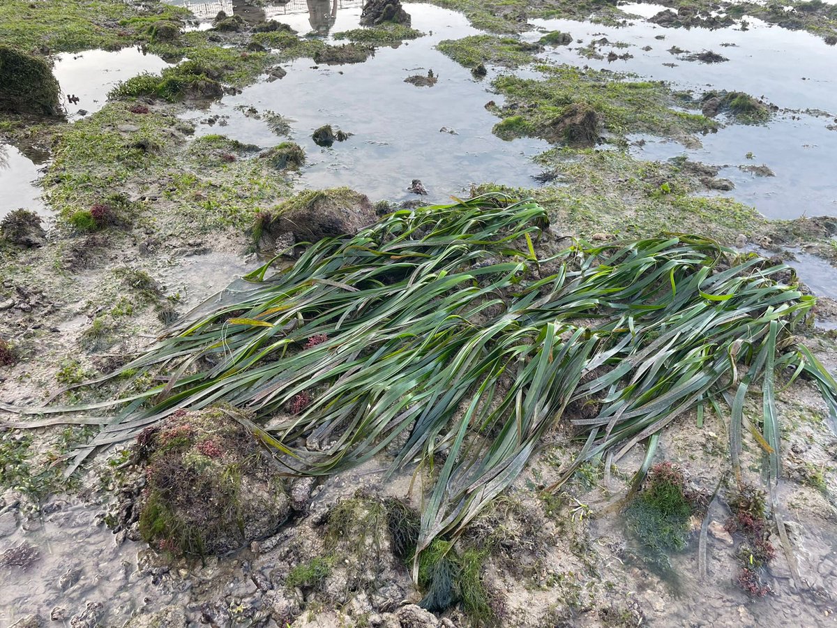 EB Richardson tweet media