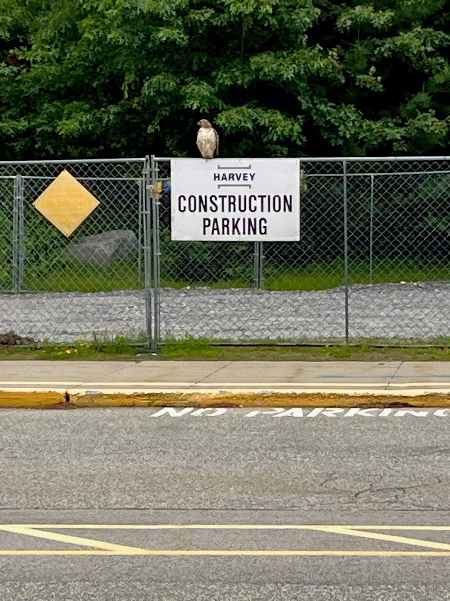 Great send off for the last day! Students and staff start summer and Harvey starts construction! Go Blue Hawks! <a href="/NASHUASCHOOLS/">NashuaSchools</a> <a href="/harveyconstruct/">Harvey Construction Corporation</a> #nsd42 #Onenashua