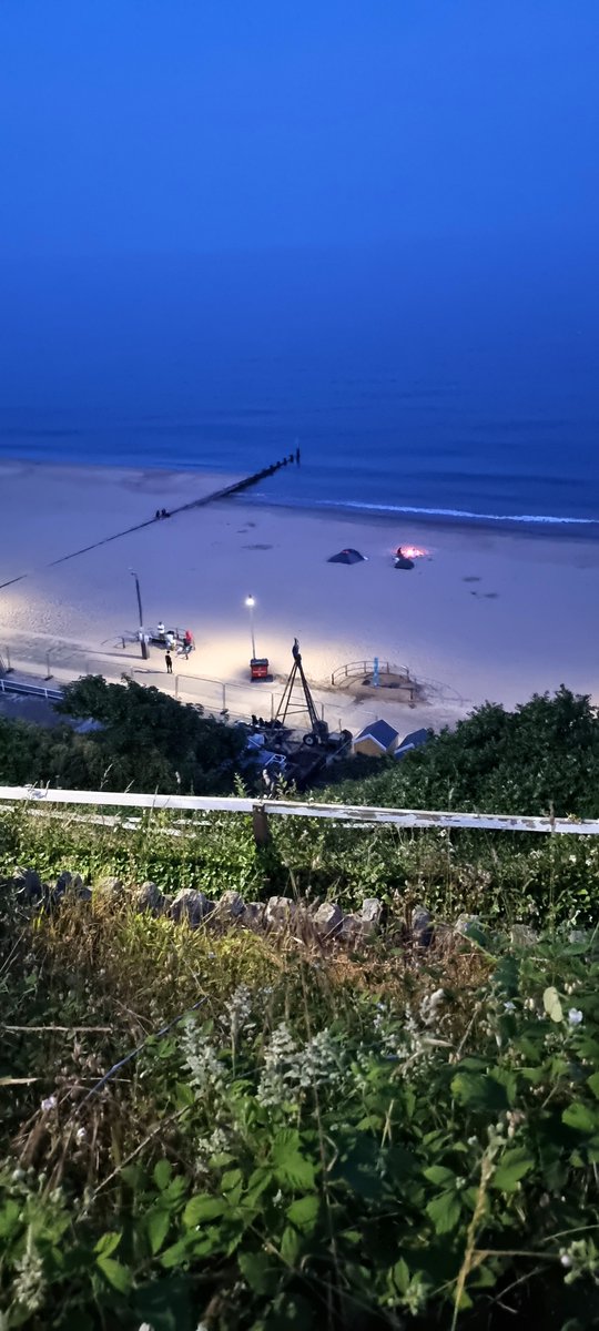 Terra Firma tweet media