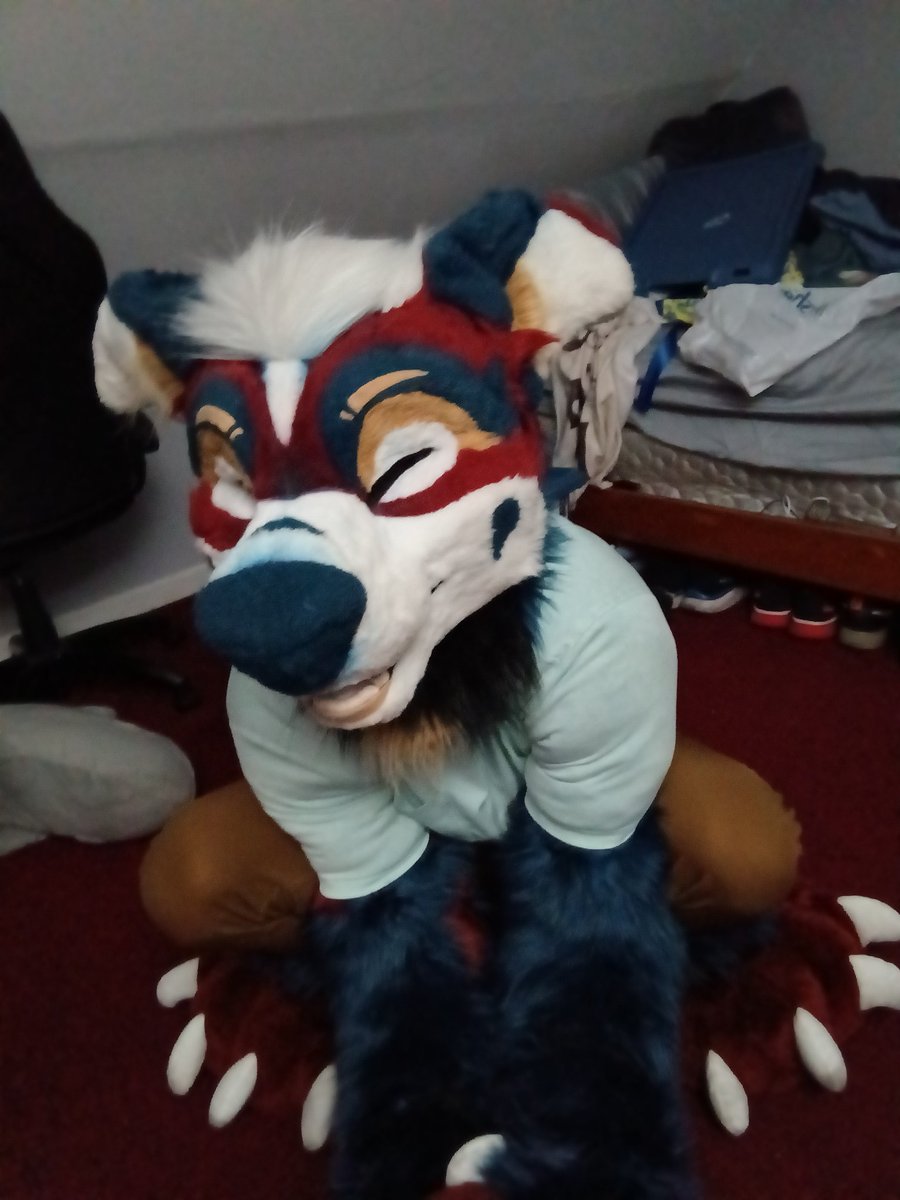 Treat 🦴
I require the gummy shorks 🦈🦈🦈