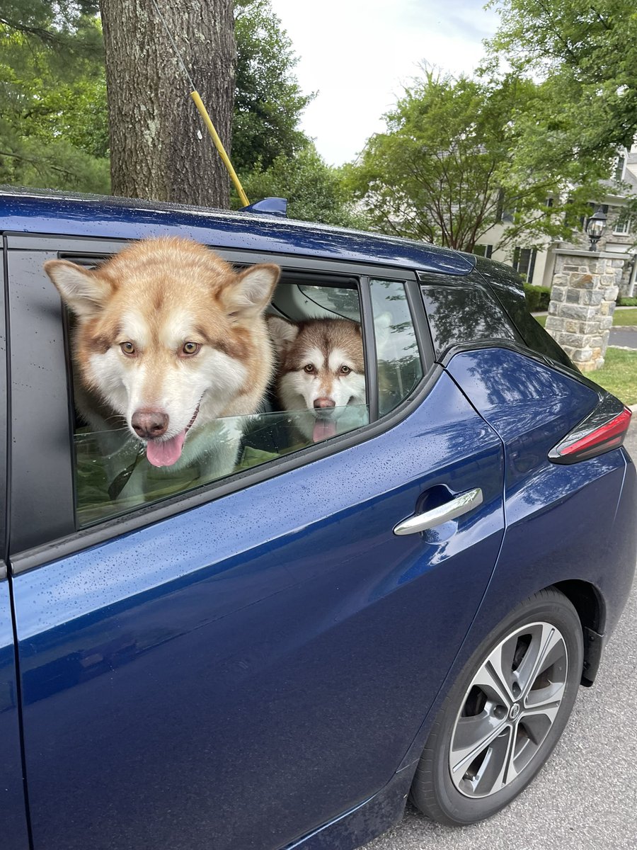 “55 burgers, 55 fries, 55 tacos, 55 pies, 55 cokes, 100 tater tots, 100 pizzas, 100 tenders, 100 meatballs, 100 coffees, 55 wings, 55 shakes, 55 pancakes, 55 pastas, 55 peppers, and 155 taters.”