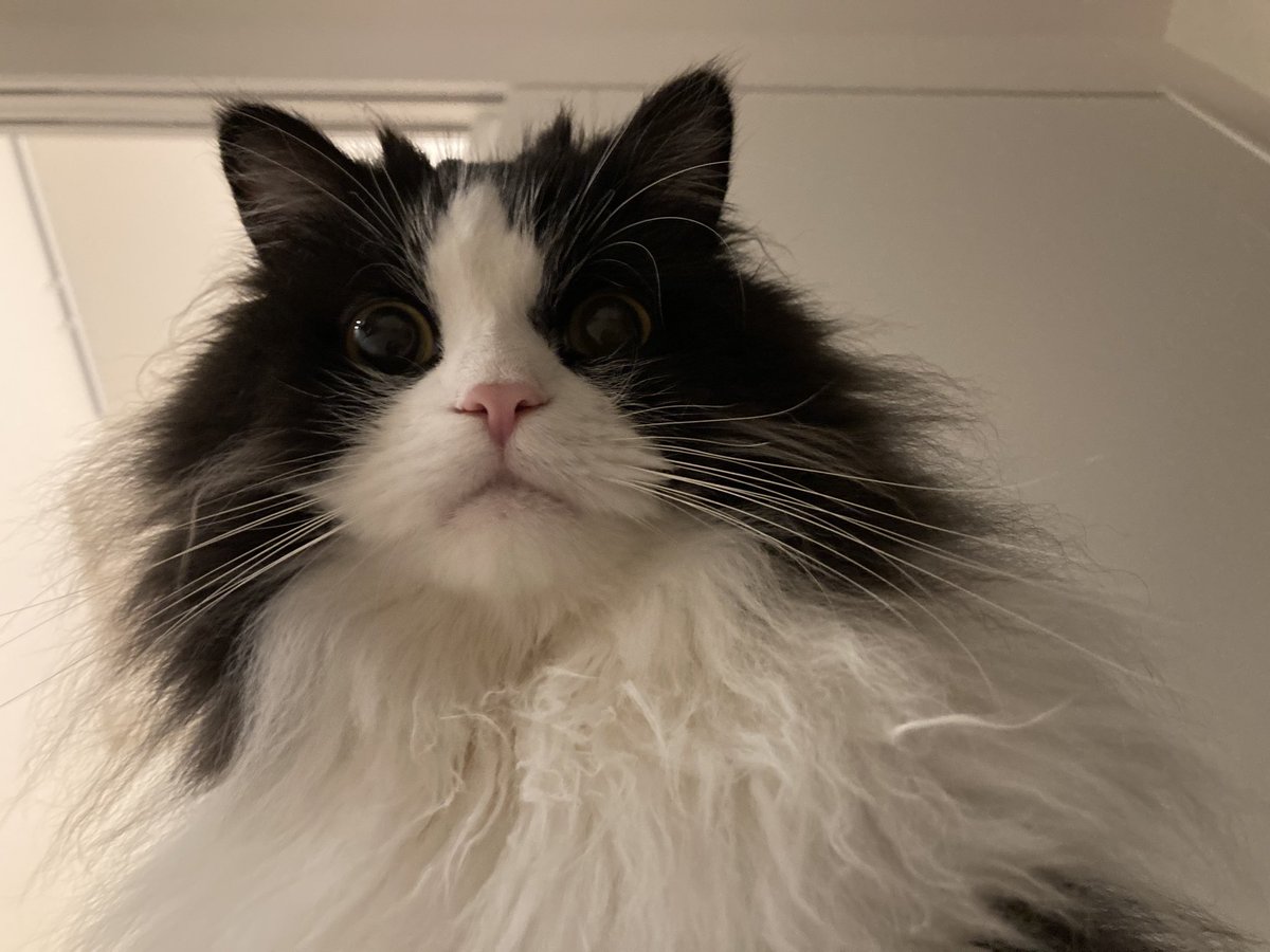 かずきちの日常 (@kazukichi74un) / Posts / X