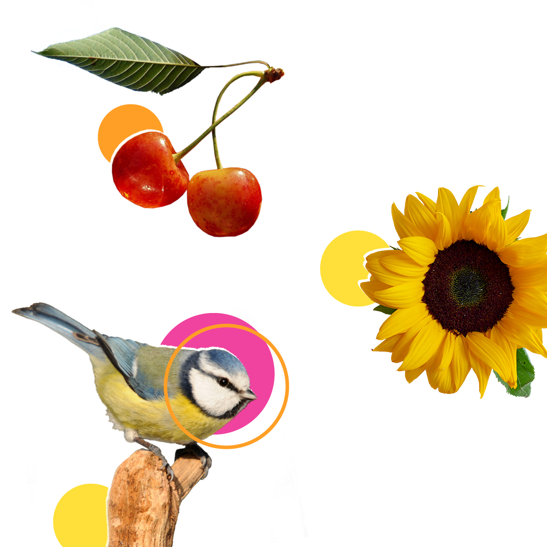 ansicht_wi's tweet photo. Mit dem #Sommeranfang bricht eine Zeit voller #Freude, Fülle und Energie an. Erholung, #Abenteuer und unvergessliche Momente in der #Natur.
 
  #nachhaltig #einzigartig #zukunftsorientiert https://t.co/EBLQfWe9L1