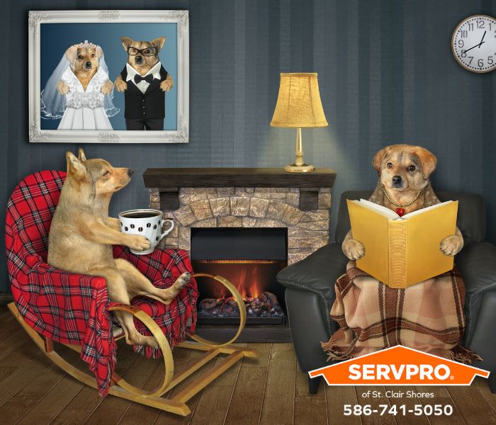 Fire Safety Planning Tips for Pets in Warren? We respond to fire damage emergencies 24 hours a day in Macomb County. #SERVPRO #SERVPROSCS #SERVPROMCNB #SERVPROofStClairShores #StClairShores