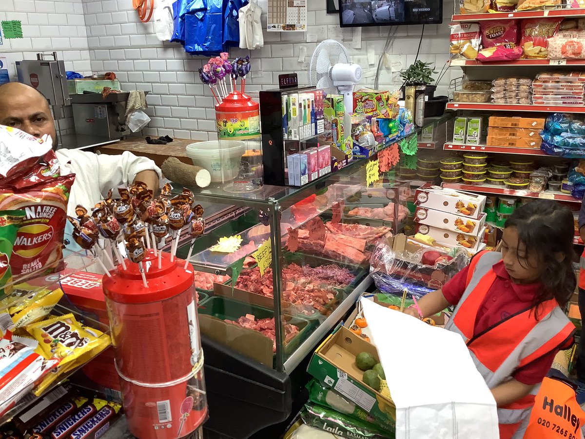 Halley Year 2 tweet media